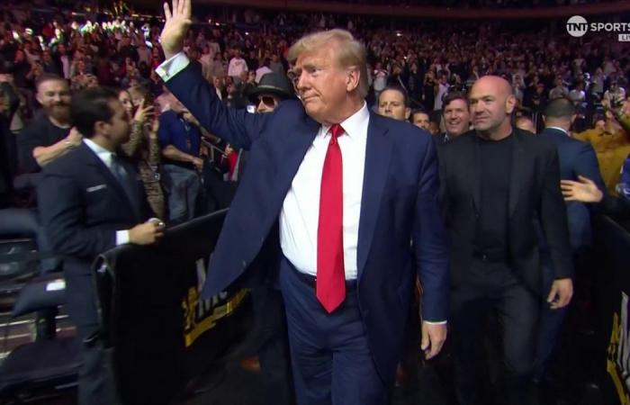 Elecciones presidenciales en Estados Unidos: Donald Trump y MMA, un amor mutuo