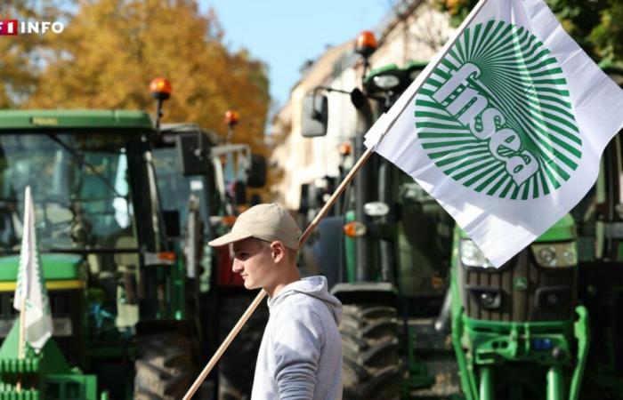 EN VIVO – Agricultores enojados: 80 departamentos movilizados desde este domingo, según la FNSEA