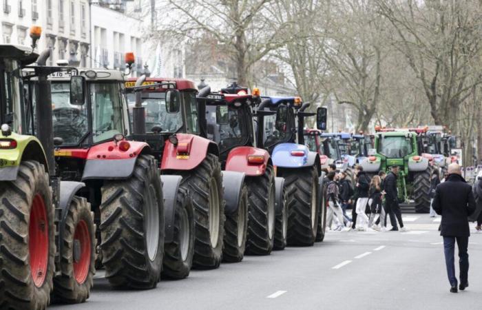 ¿Qué acciones en Indre-et-Loire?