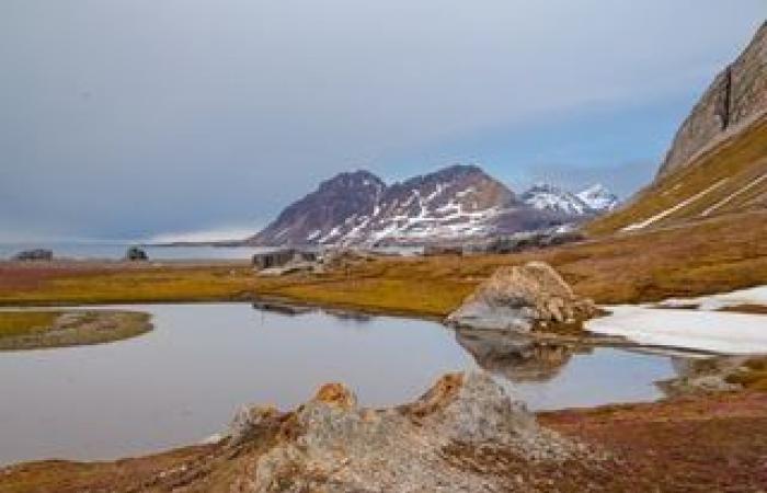 El aire ártico se apodera del Reino Unido, lo que genera advertencias de nieve y hielo