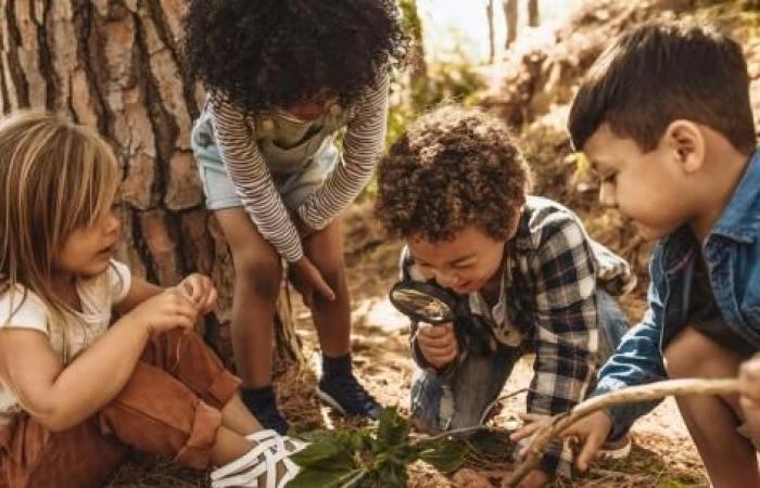 la naturaleza es buena para los niños