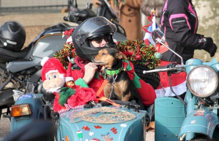 Montceau – Los pequeños papás moteros fieles al encuentro