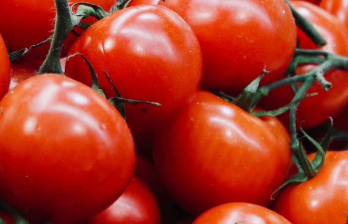 ¿Por qué deberías comer tomates?