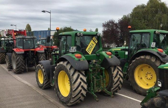 Movilización de los agricultores: ¿qué esperar en Meurthe-et-Moselle y los Vosgos?