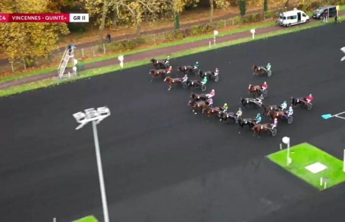 Quinté+: CARRERAS PRIX DE BRETAGNE-AMERIQUE Q1 – PARIS-VINCENNES – 17/11/2024: salidas, predicciones y resultados en vídeos – Carrera 4