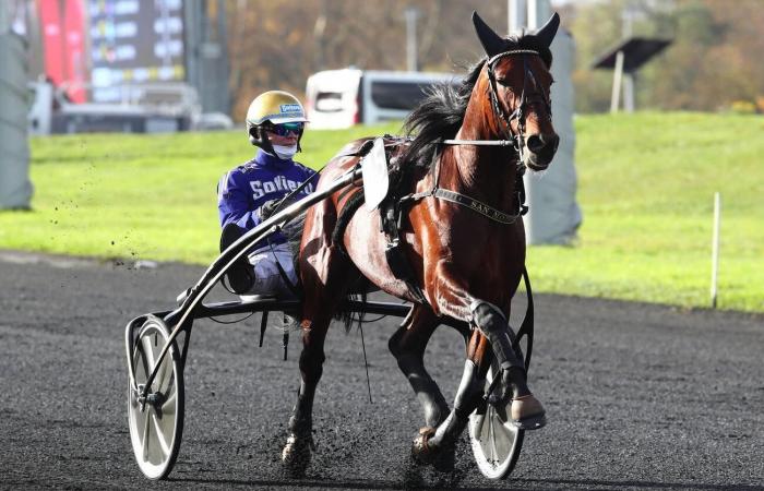 El Top 3 de periodistas de Equidia para el Prix de BretagneAmérique Races Q1 en Vincennes