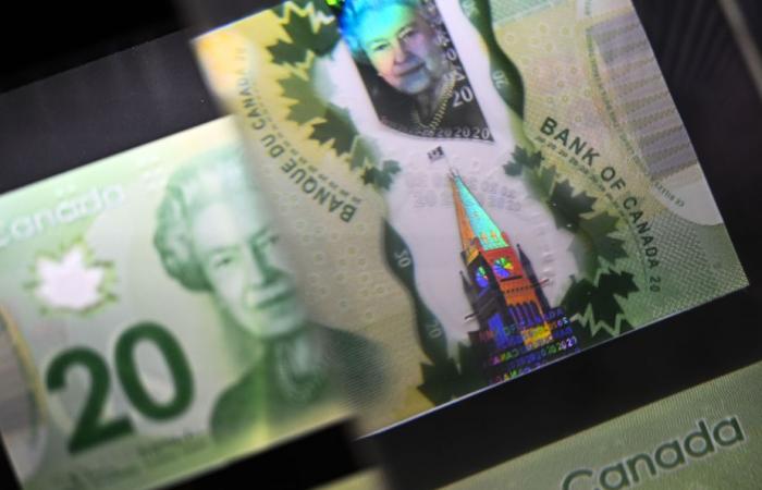 Se espera que la debilidad del dólar canadiense persista hasta 2025, dice un experto