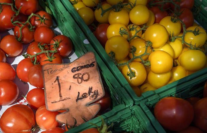 La ciudad de Ginebra favorece la agricultura local