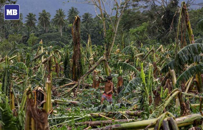 Ofensiva invernal en Europa, inundaciones en Honduras, sucesivos tifones en Filipinas,… noticias del tiempo en el mundo 18/11/2024