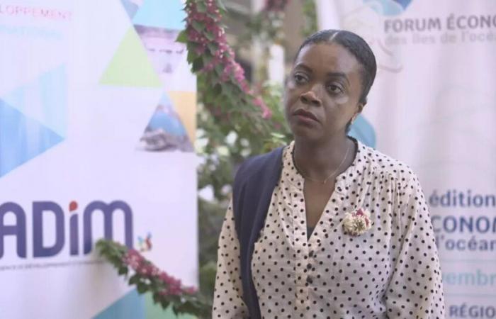 FEIOI: En Mayotte, el turismo y la producción regional apuestan por lograr una cooperación en el Océano Índico