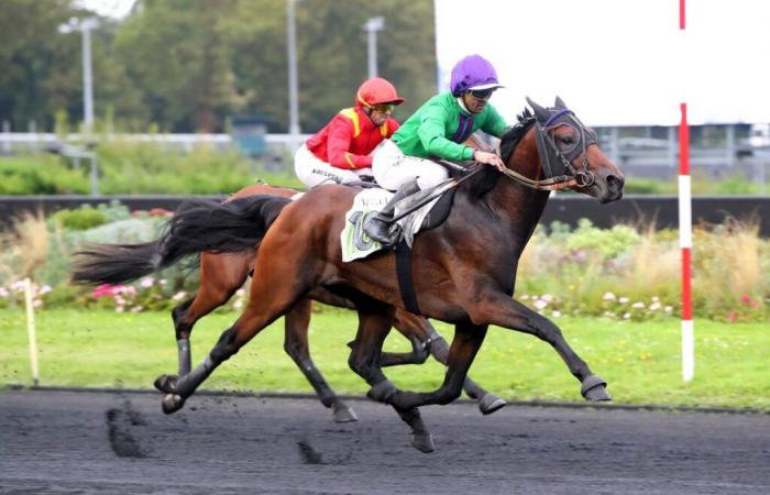 Jueves en Vincennes – Premio Urgente: Corazón de León entre los participantes