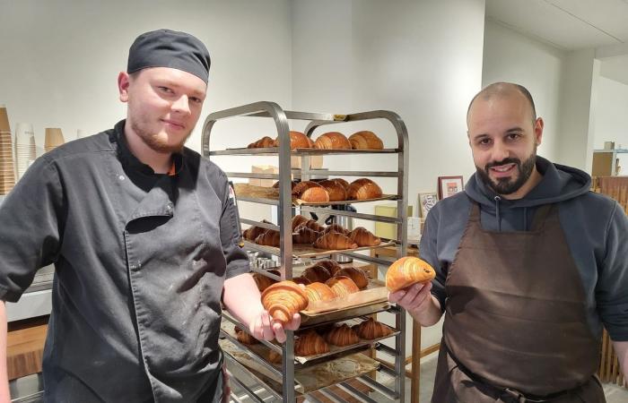 En Woluwe, una pastelería triunfa con su gran dolor de chocolate y otras creaciones atrevidas: “No esperábamos tanto entusiasmo”