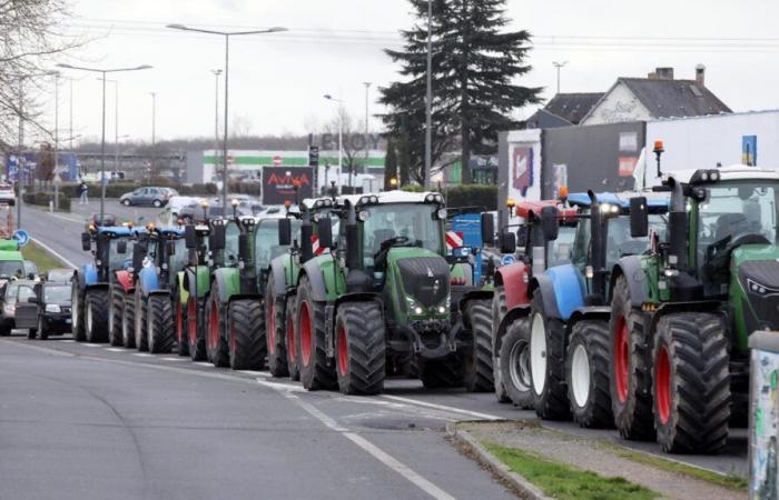 DIRECTO. Los agricultores se movilizaron este lunes, se esperan perturbaciones