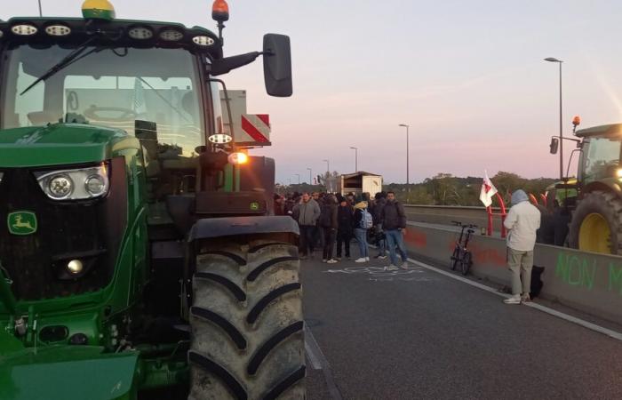 Los agricultores bloquean el puente de Europa en Aviñón