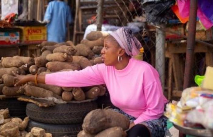 Las reservas públicas de alimentos pueden estabilizar los precios de los alimentos en África