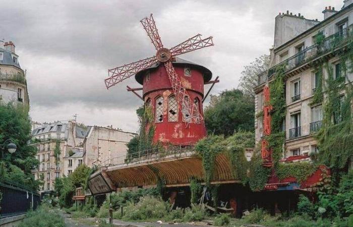 ¿Cómo será París cuando los humanos desaparezcan? Dos artistas ofrecen su escalofriante visión – Edición nocturna Ouest-France