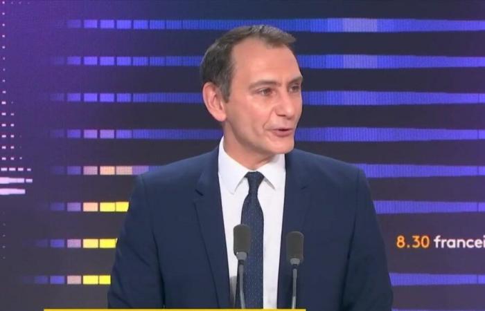 Emmanuel Macron “no tiene poder para detener” el acuerdo entre la UE y Mercosur, según Laurent Jacobelli, portavoz de RN