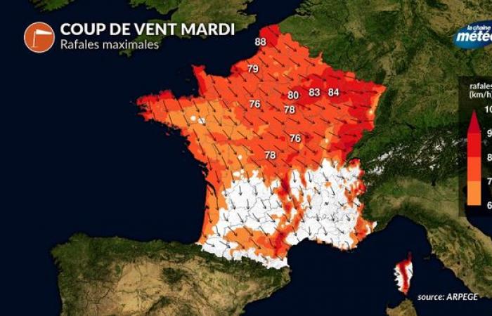 El tiempo de la semana: detalles del día a día del ajetreo