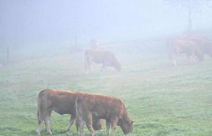 ¿Cuáles son las vías previstas para que el sector agrícola pueda luchar contra la contaminación?