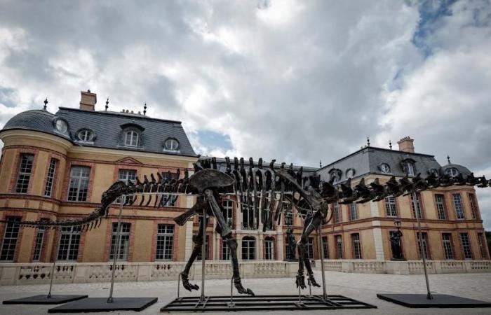 Esqueleto de dinosaurio gigante vendido por 4,4 millones de francos en Francia – rts.ch