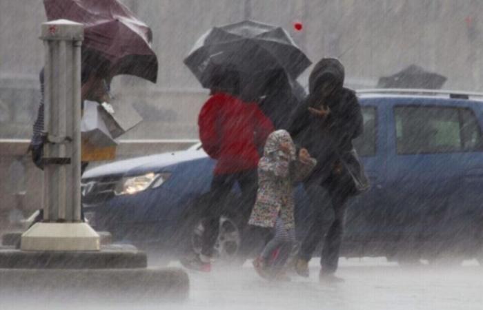 Antes de la llegada de la nieve, Météo France pone en alerta a Orne por vientos violentos