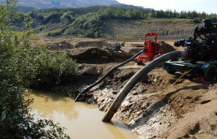 Mercurio detectado aguas abajo de la mina de oro Eagle en Yukon – Arctic Eye