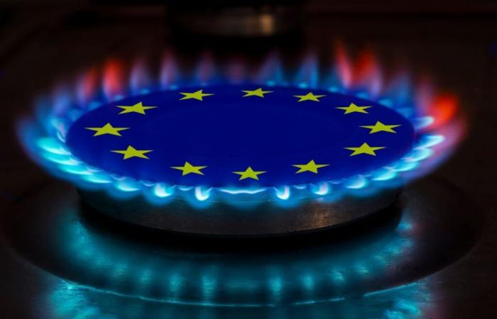 Gazprom podría mantener los suministros de gas a Austria | Noticias Montel