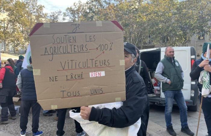 Los agricultores de Hérault quieren más que ayudas