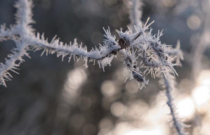 Ofensiva de frío, nieve en las llanuras… Lo que nos depara el tiempo invernal para esta semana