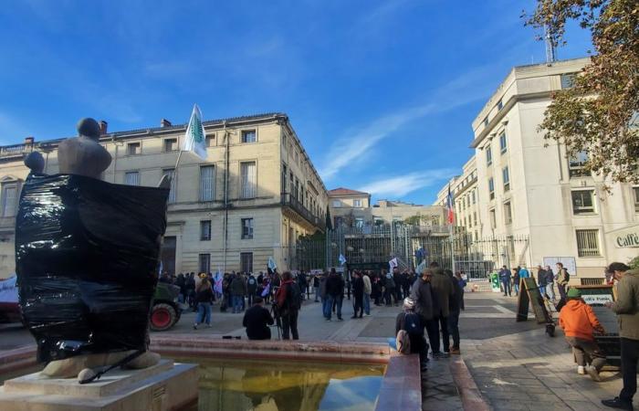 Alrededor de un centenar de manifestantes en Montpellier, carteles de la ciudad colgados en las puertas de la prefectura.