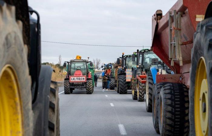 Agricultores enojados: ante el bloqueo de la autopista A9 y de la frontera española, “85 puntos de manifestación” de Var a Calvados