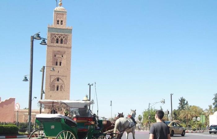 Muy esperados, se están desarrollando o ultimando nuevos documentos de planificación urbana para Marrakech