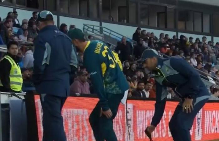 Lesión en el tendón de la corva de Glenn Maxwell, video, foto, tercer partido internacional T20 entre Australia y Pakistán