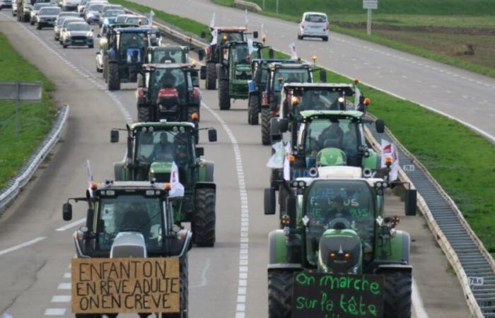 Vivir. Sigue la jornada de movilización de los agricultores de Alsacia