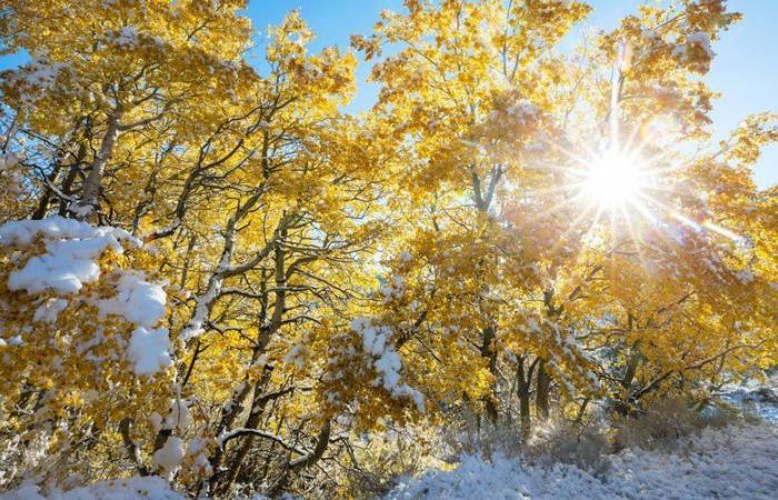 Vuelve el invierno: descenso drástico de las temperaturas, ¿primeros copos de nieve?… ¿Qué nos espera en Occitania esta semana?