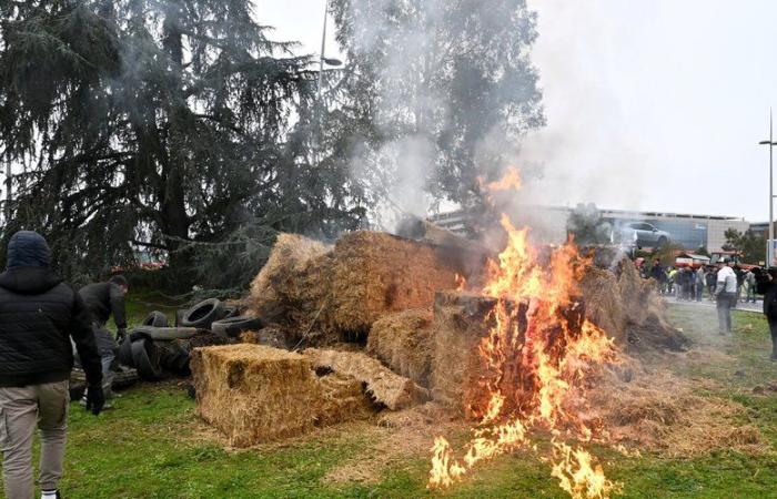 Ira de los agricultores: la lista de rotondas ocupadas por los manifestantes en Alto Garona este lunes por la noche