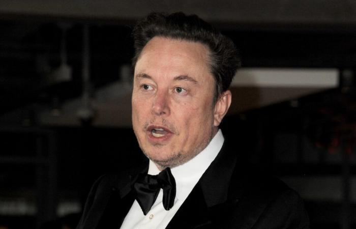 Elon Musk extiende su lucha legal al gigante del software