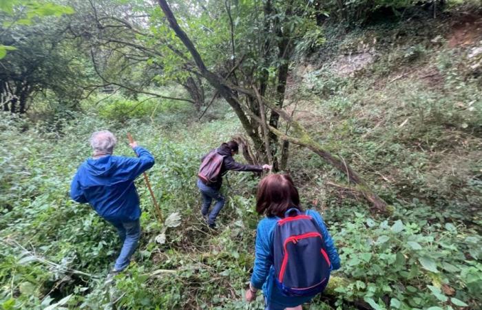 Un hombre muerto desde hace varias semanas descubierto en Saint-Hilaire-sur-Helpe