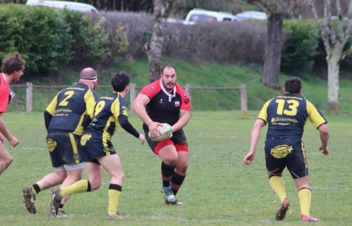 Trofeos de rugby amateur en Tarn-et-Garonne 2024: vota al mejor jugador de la Regional 2 y la Regional 3