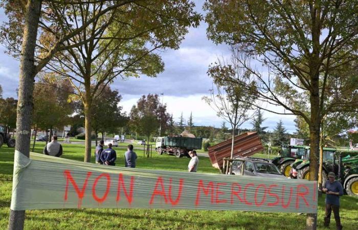 Ira de los agricultores: “Utilizaremos los medios necesarios, lástima por las consecuencias”, decenas de tractores llegaron a la prefectura de Gers