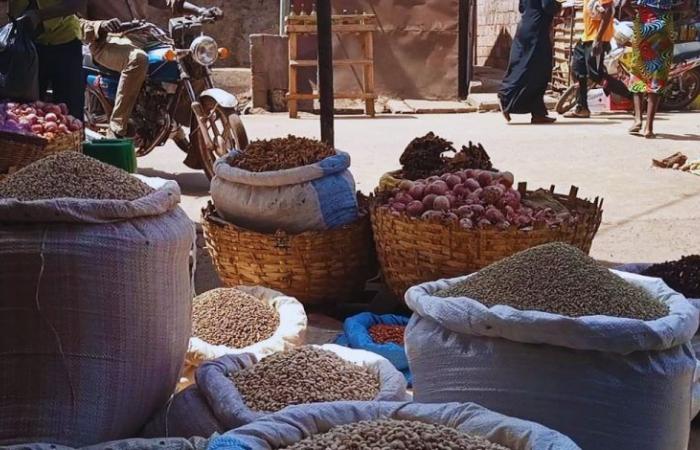 Una solución para estabilizar los precios de los alimentos en África