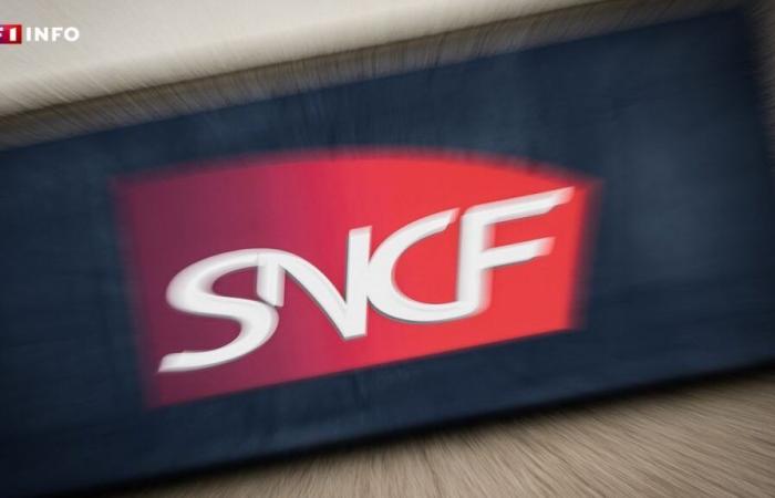 Huelga en la SNCF: lo que realmente exigen los ferroviarios