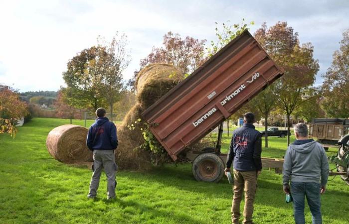 Ira de los agricultores: “Utilizaremos los medios necesarios, lástima por las consecuencias”, decenas de tractores llegaron a la prefectura de Gers