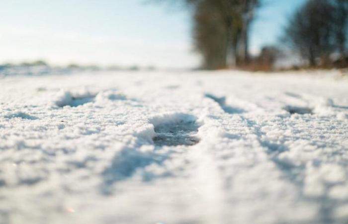 Bajada de temperaturas: llegada repentina del invierno el miércoles