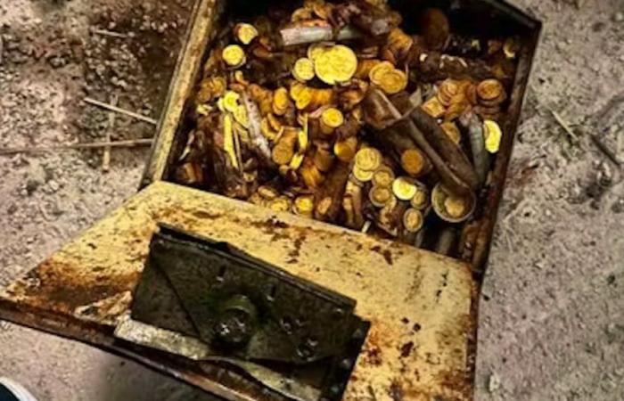 Austria: Sin suficiente curiosidad, el trabajador pierde un tesoro de 30 kilos de monedas de oro