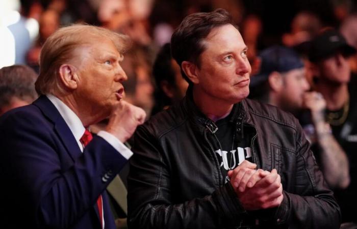 Fricciones entre Musk y uno de los principales lugartenientes de Trump