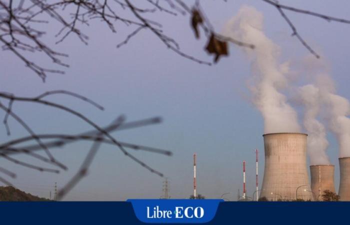 La “pepita nuclear” quiere invertir en Bélgica