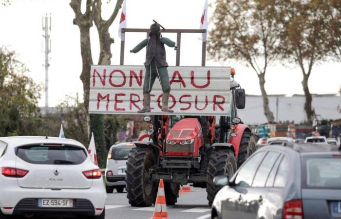 El acuerdo de la UE con Mercosur provoca el enfado de los agricultores franceses y el rechazo de un ministro italiano