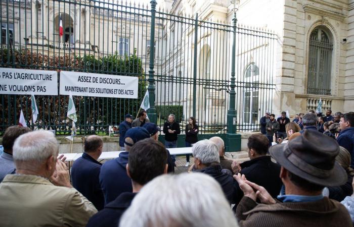 OCCITANIE Primer comité territorial de ayuda agrícola regional