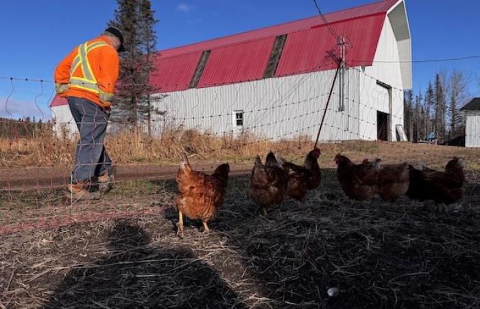 Los métodos tradicionales de un agricultor demuestran su valor